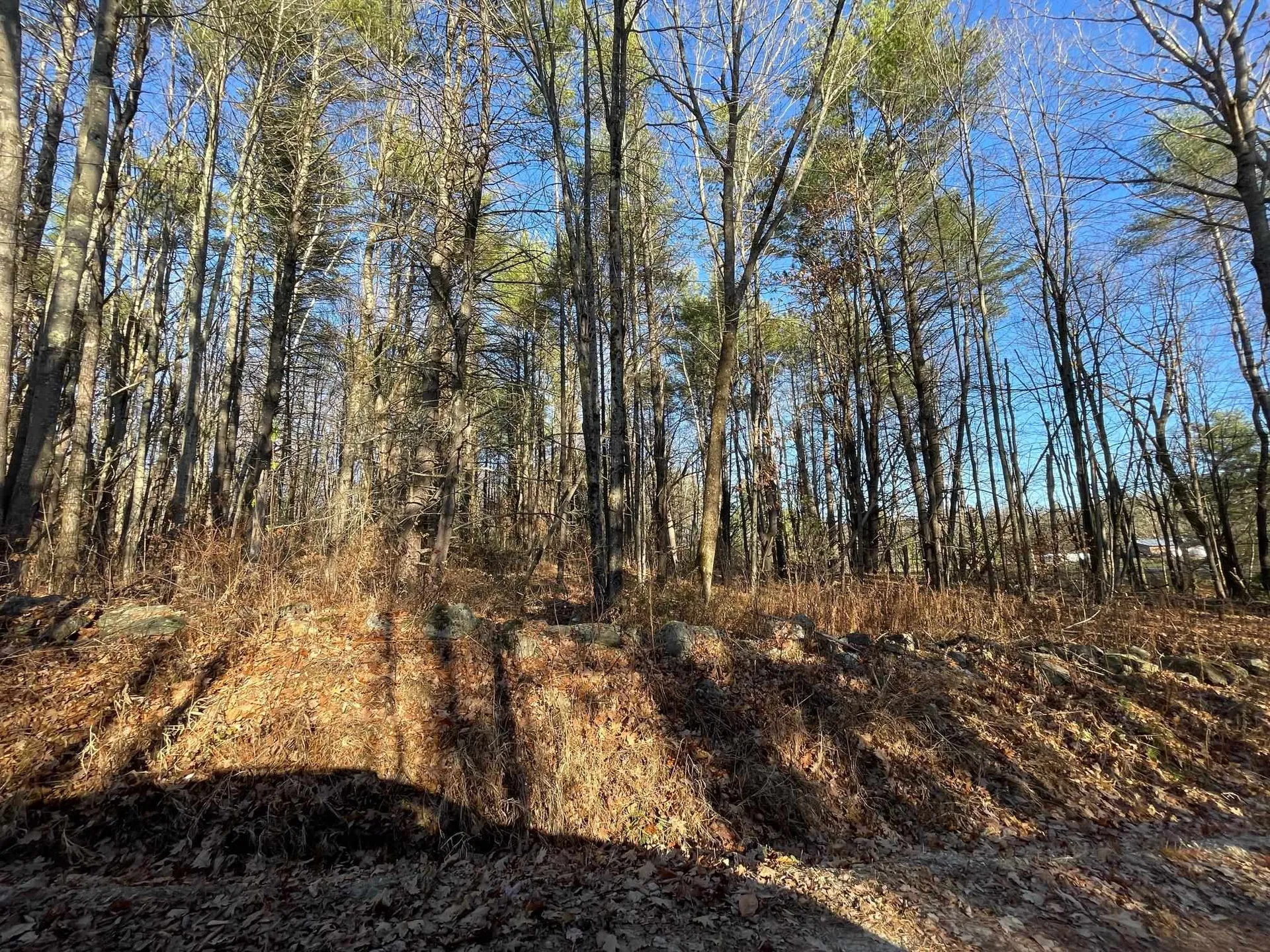 00 Britton Road Unity NH 03603