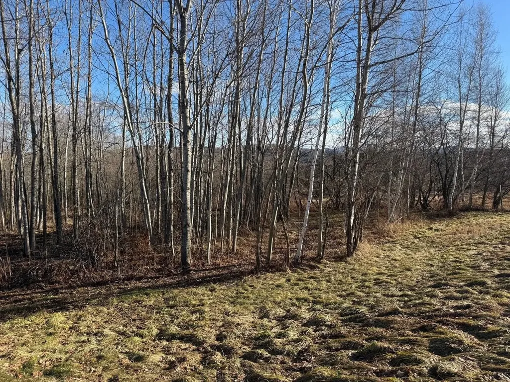 50 Great Northern Road Troy VT 05868