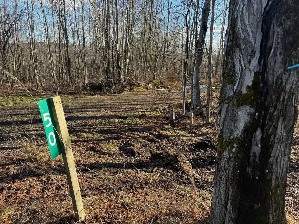 50 Great Northern Road Troy VT 05868