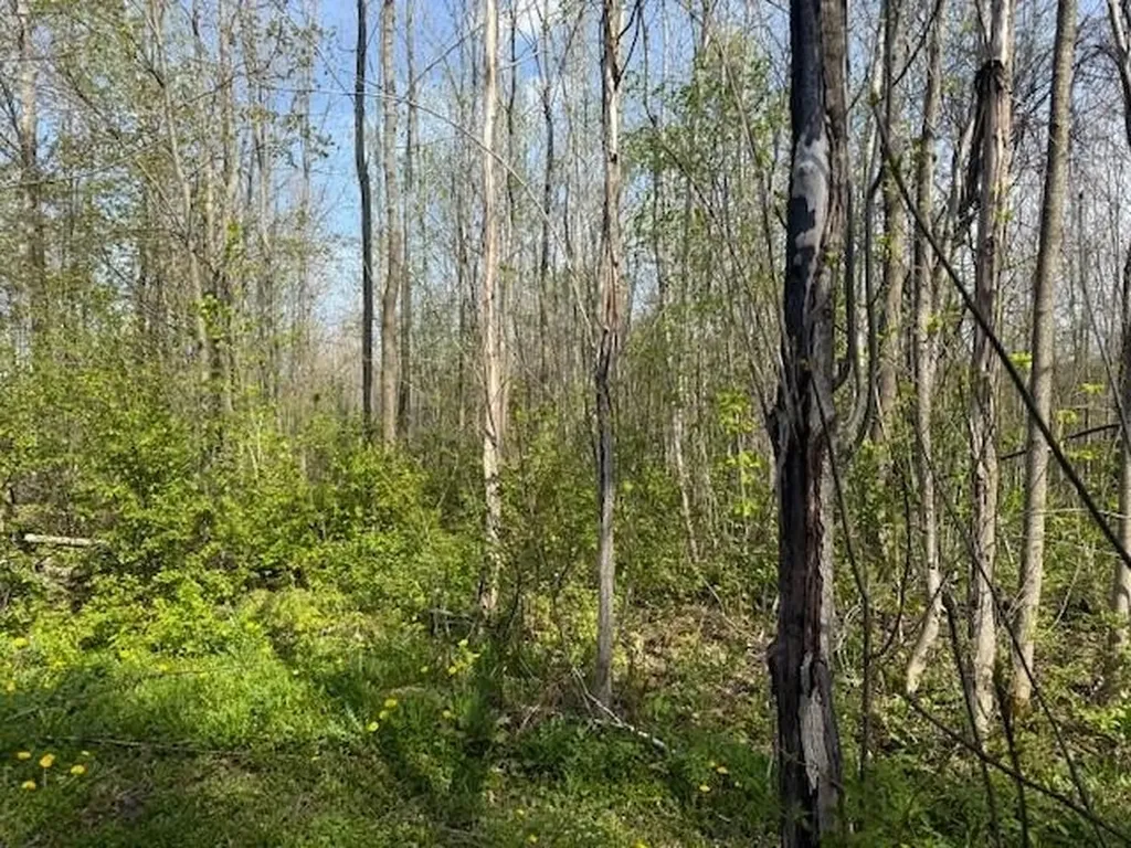 50 Great Northern Road Troy VT 05868