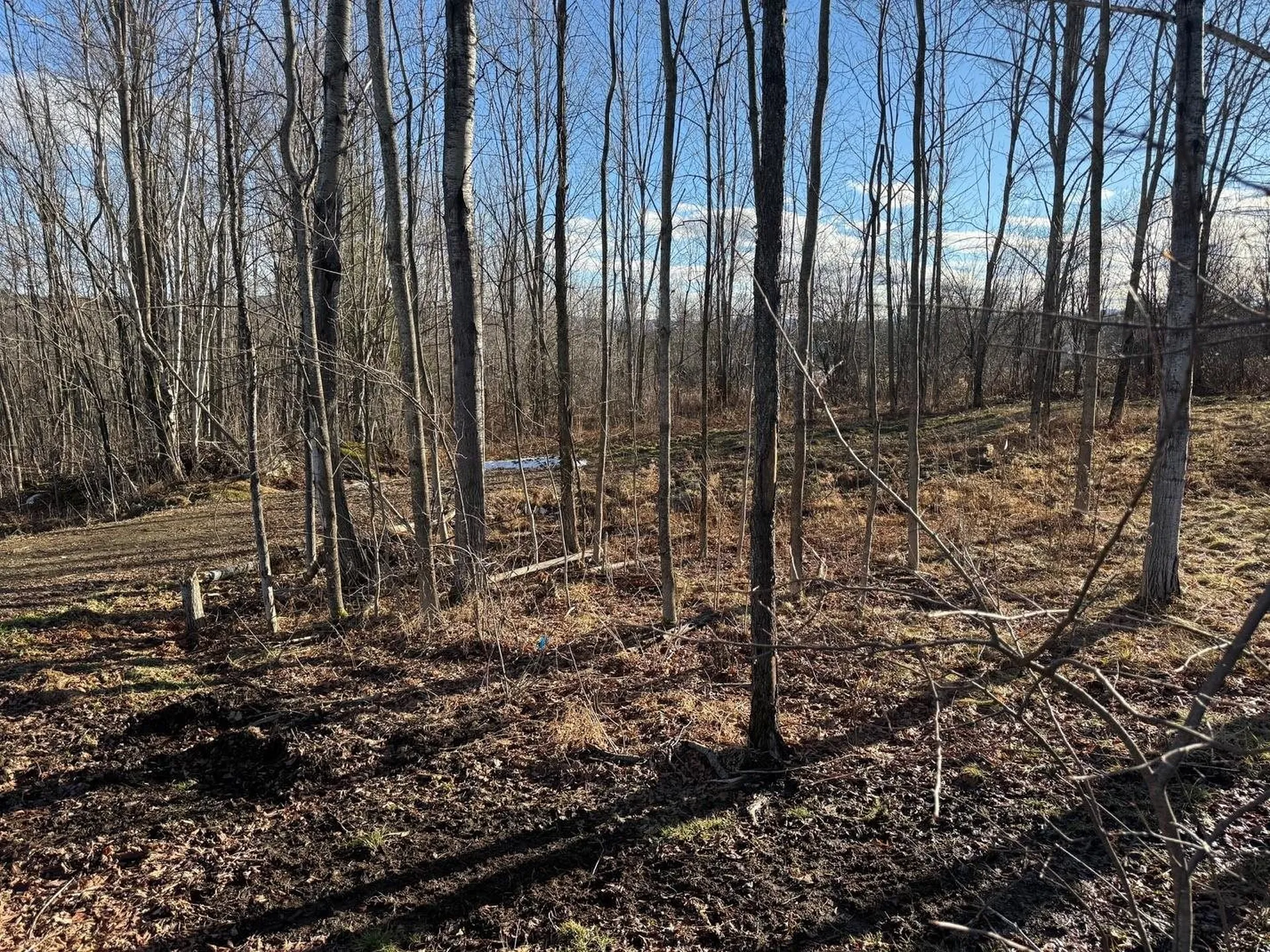 50 Great Northern Road Troy VT 05868