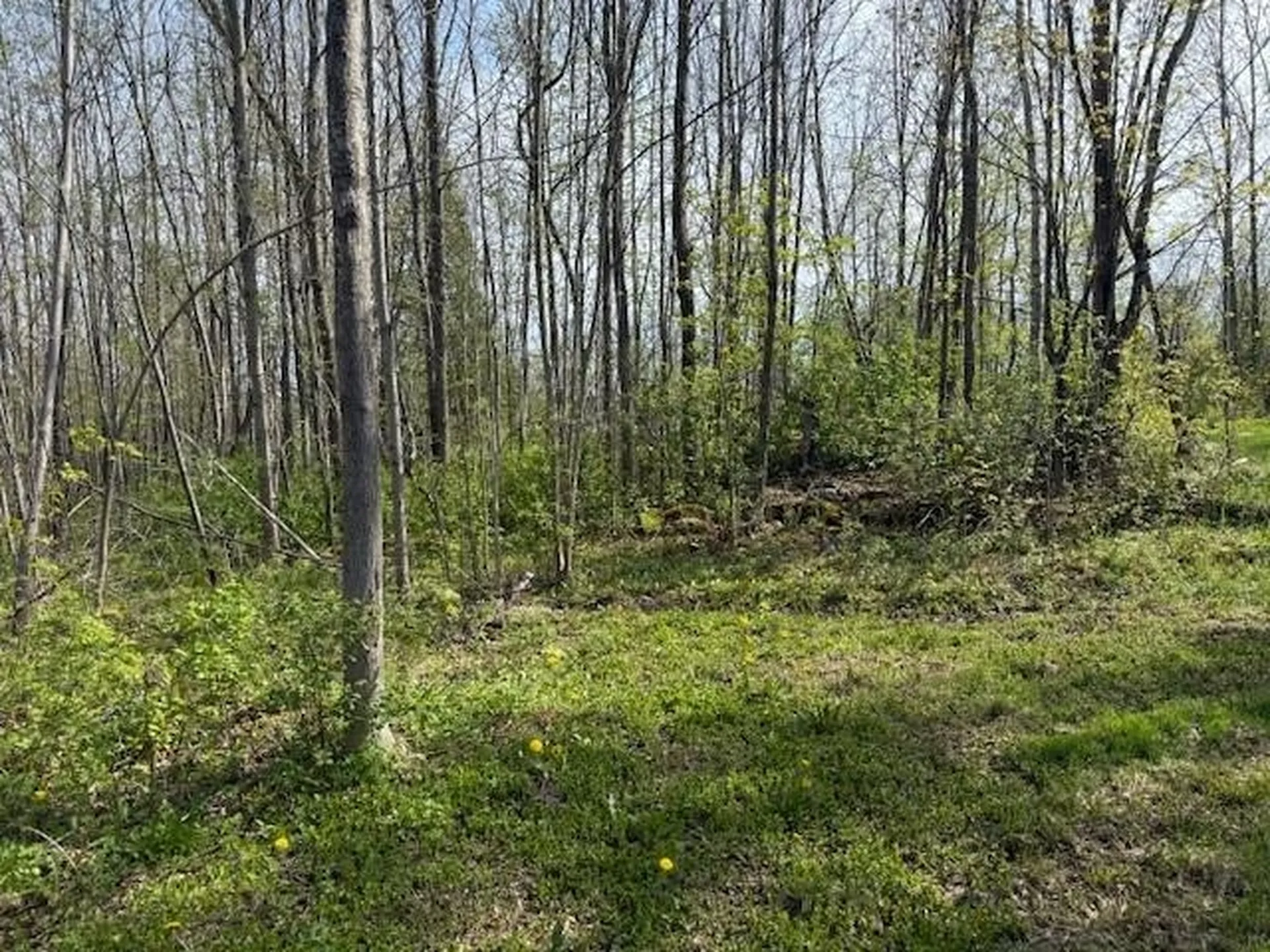 50 Great Northern Road Troy VT 05868