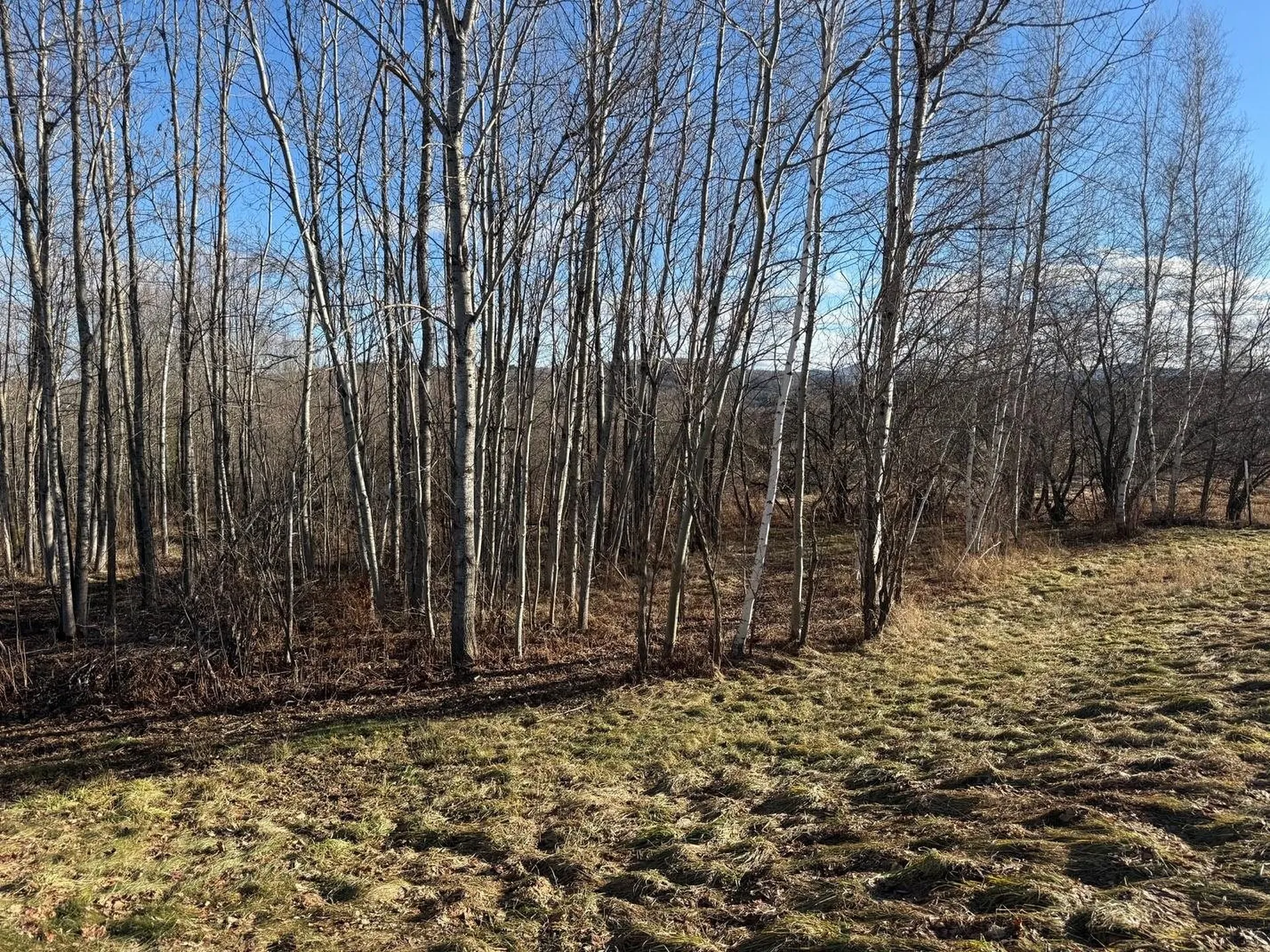 50 Great Northern Road Troy VT 05868