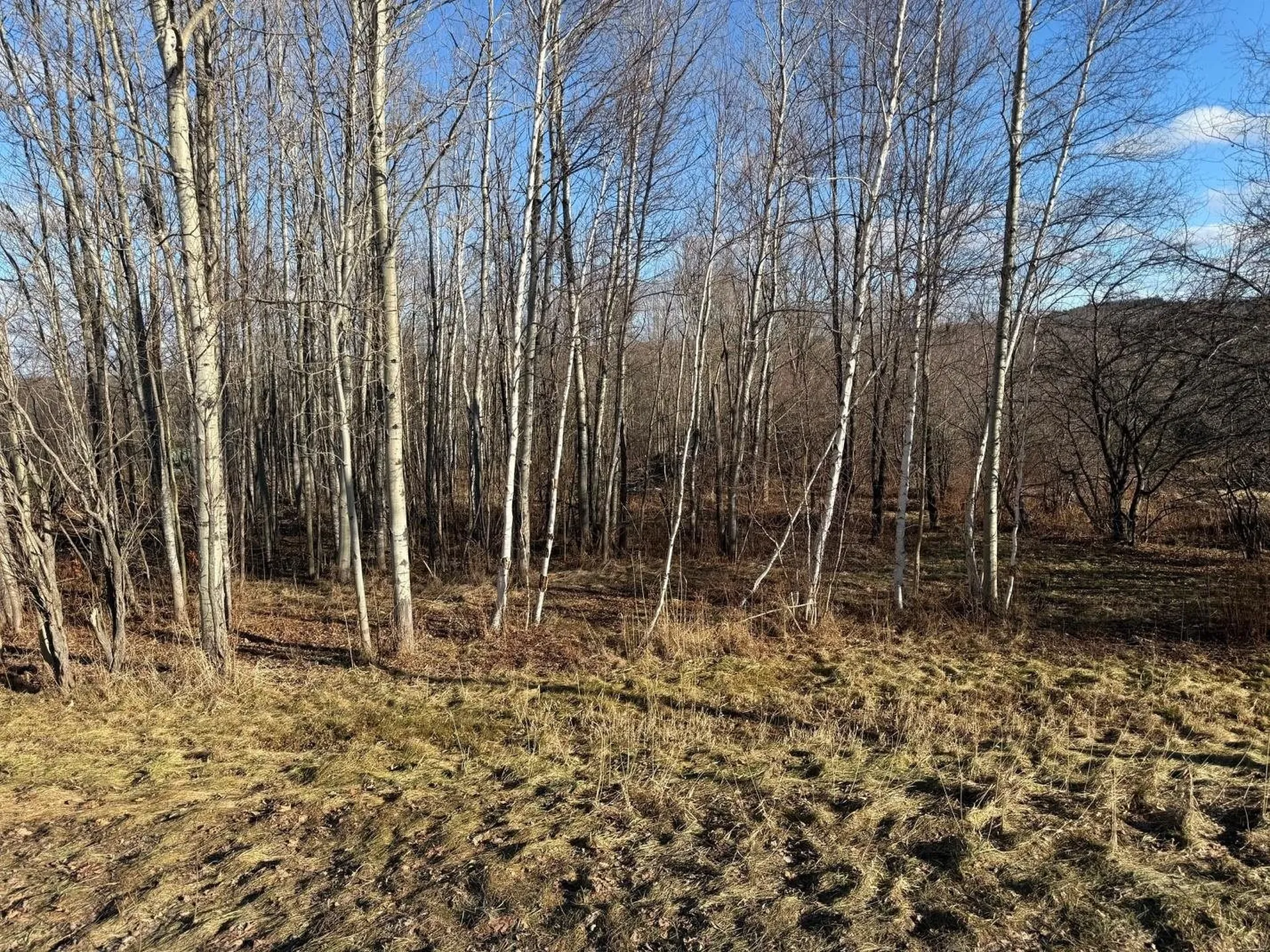 50 Great Northern Road Troy VT 05868