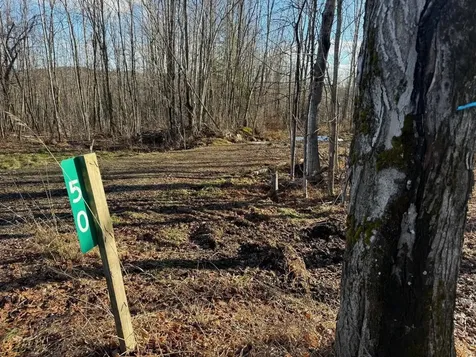50 Great Northern Road Troy VT 05868