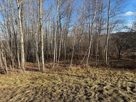 50 Great Northern Road Troy VT 05868