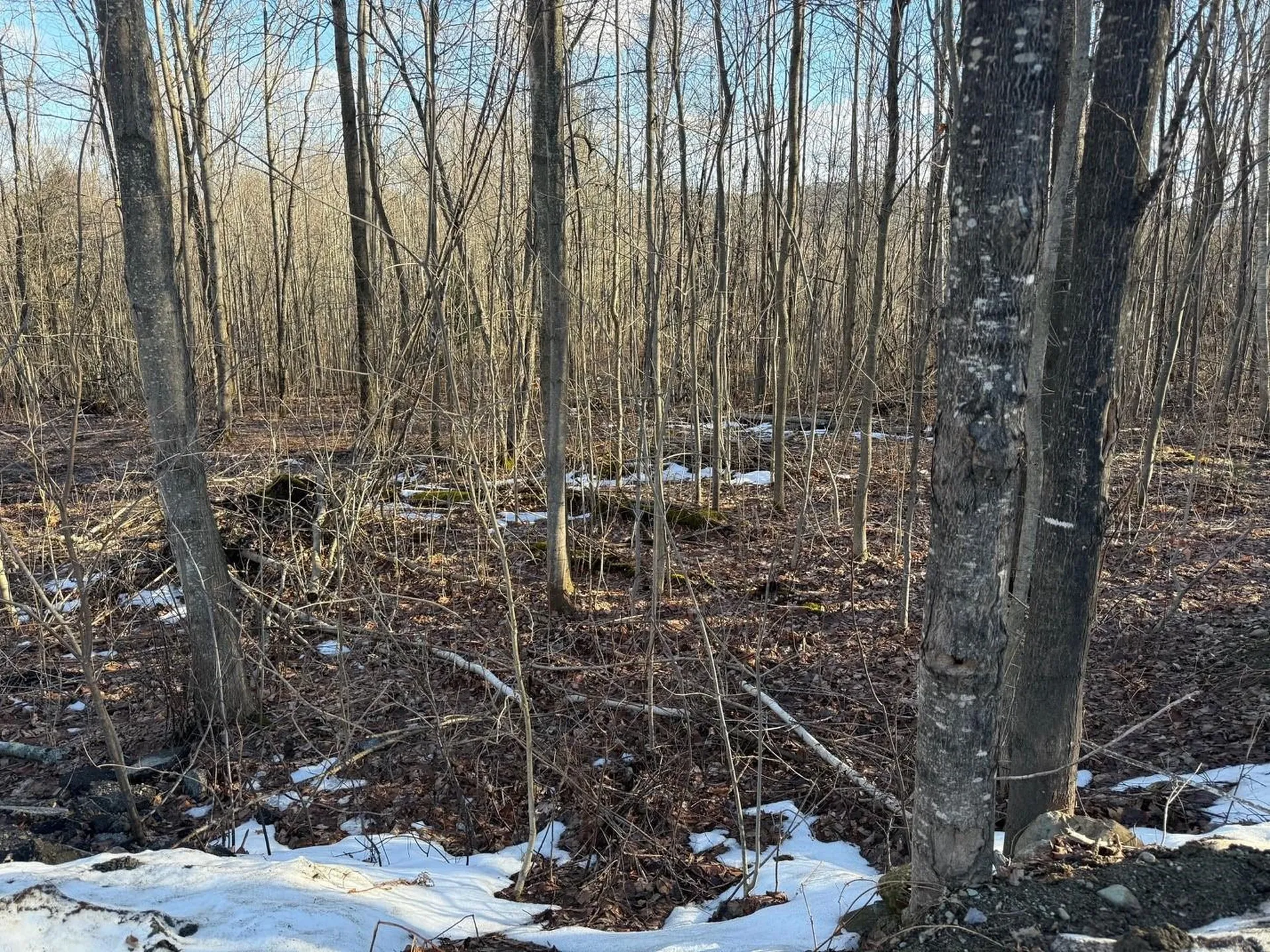 92 Great Northern Road Troy VT 05868