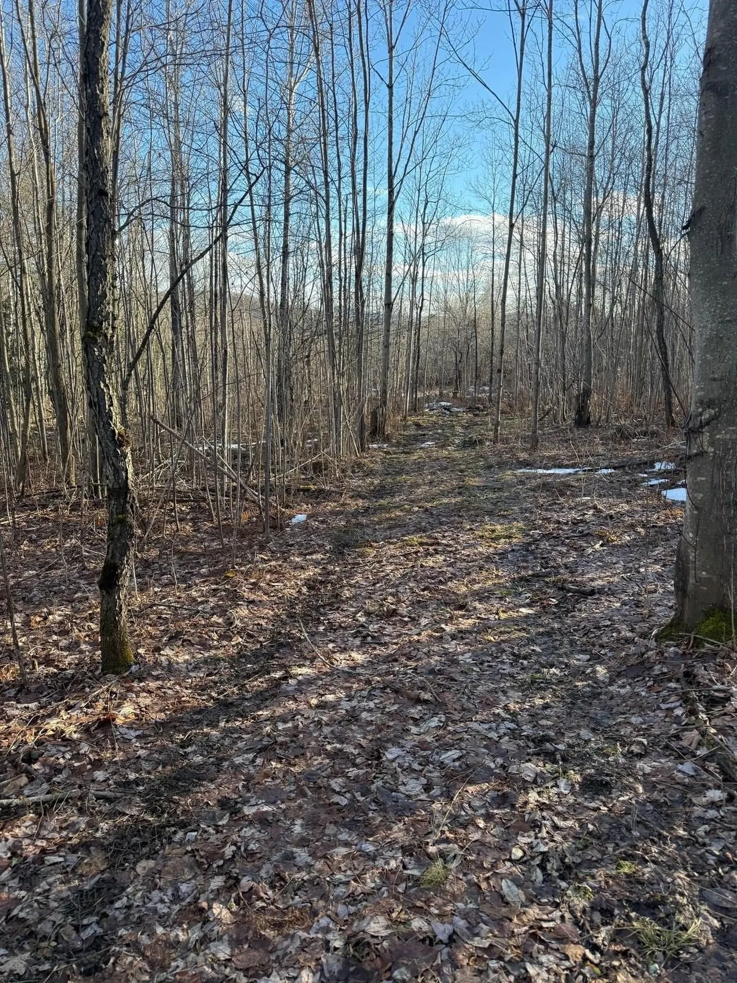 92 Great Northern Road Troy VT 05868