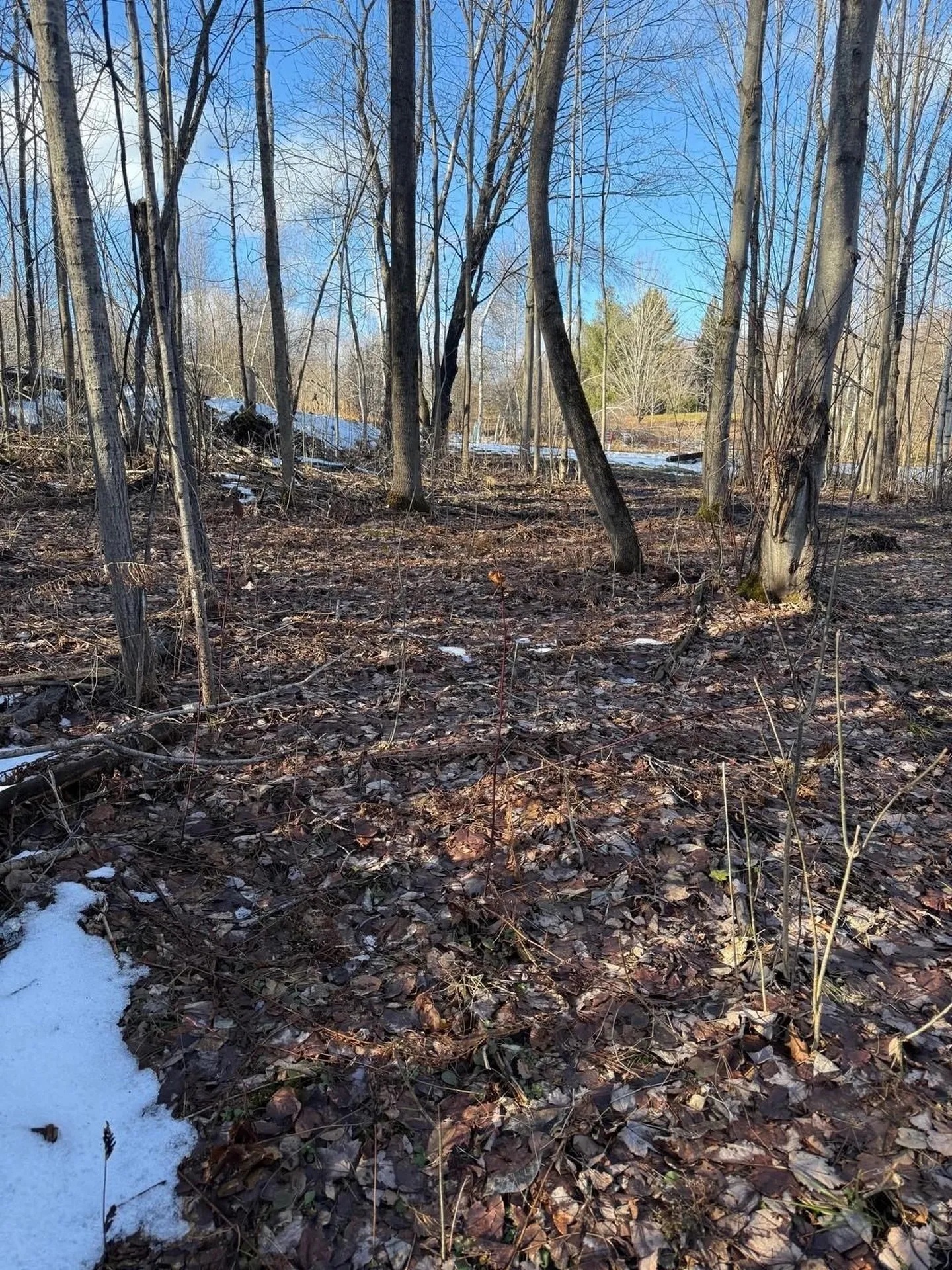 92 Great Northern Road Troy VT 05868