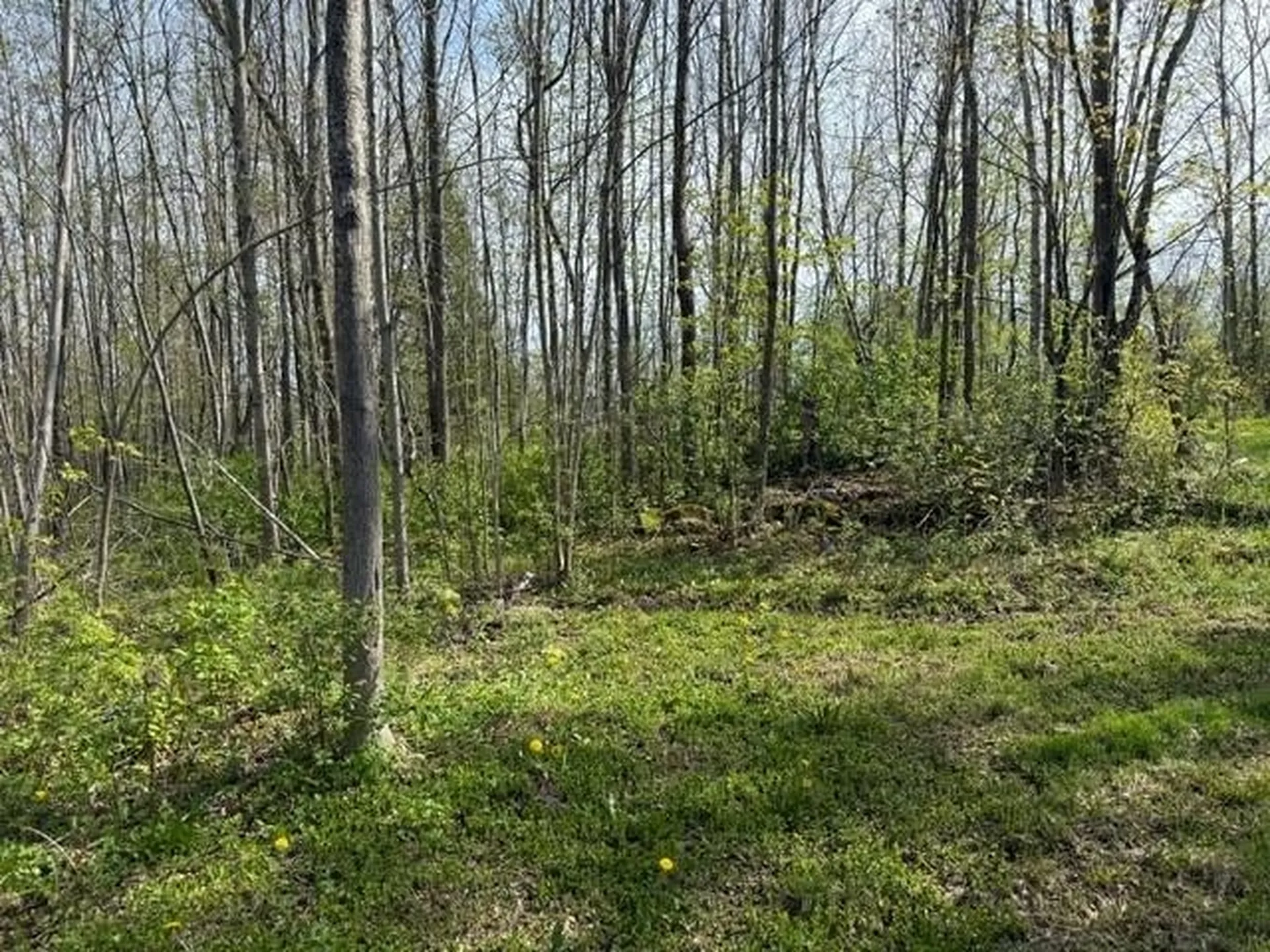 92 Great Northern Road Troy VT 05868