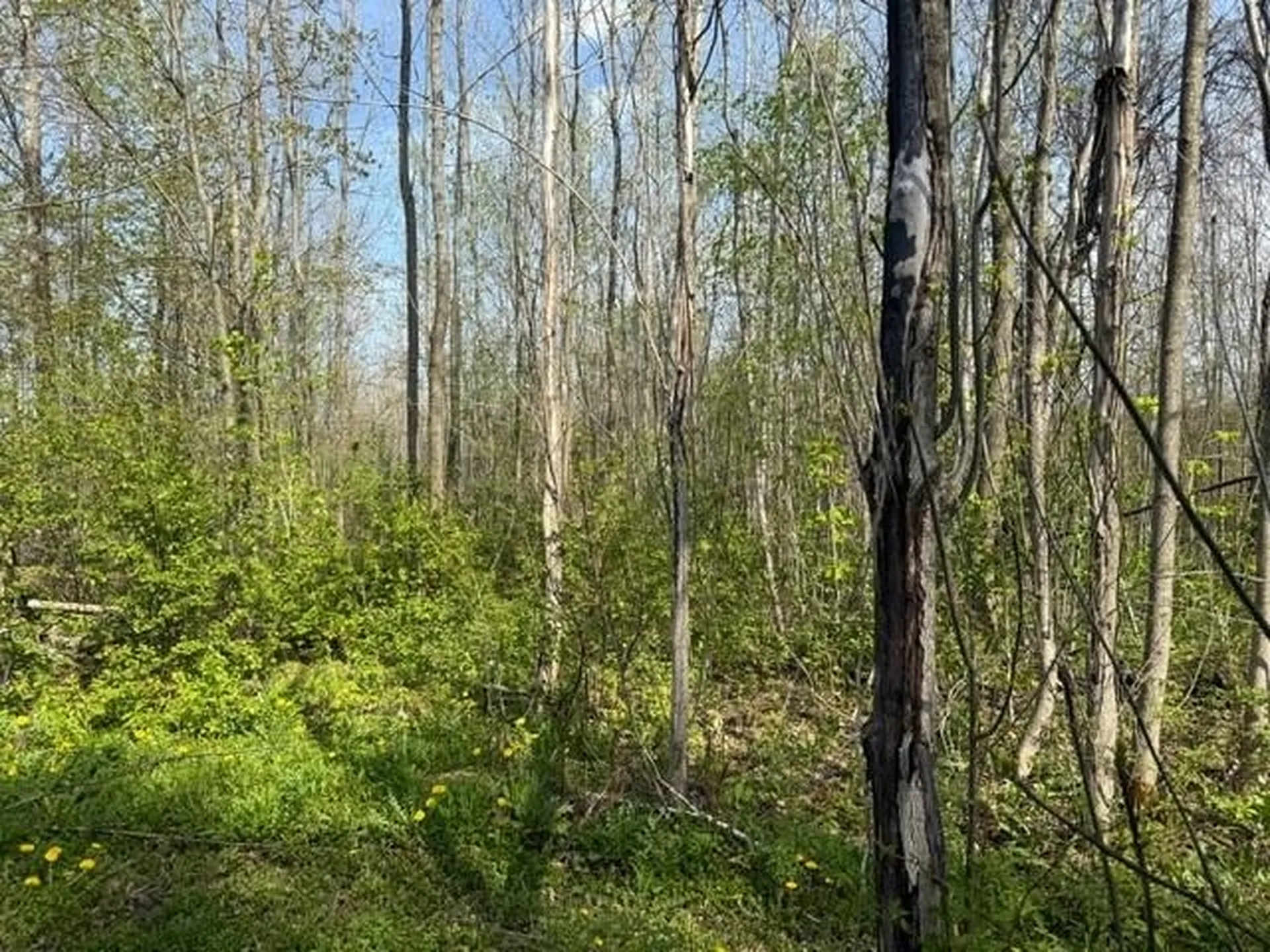 92 Great Northern Road Troy VT 05868