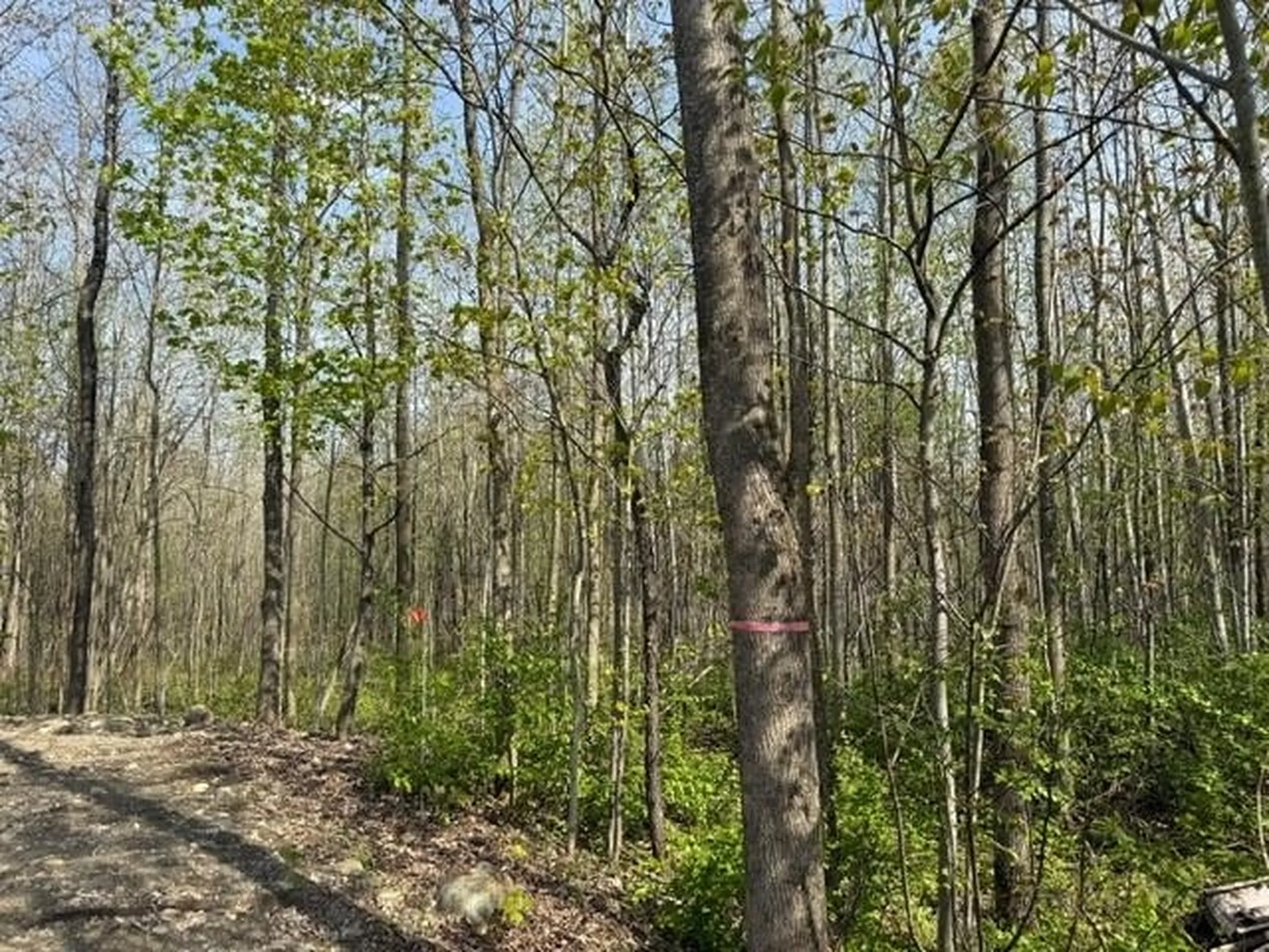 92 Great Northern Road Troy VT 05868