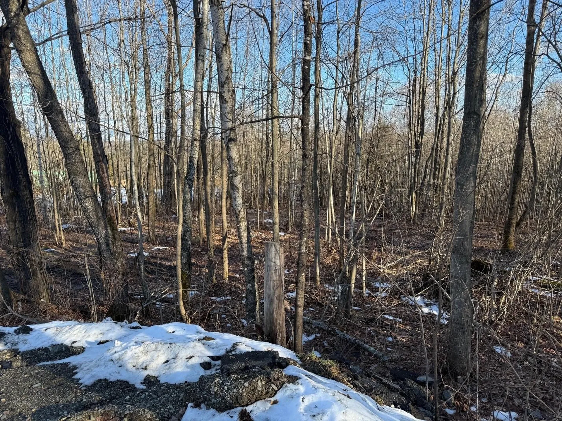 92 Great Northern Road Troy VT 05868