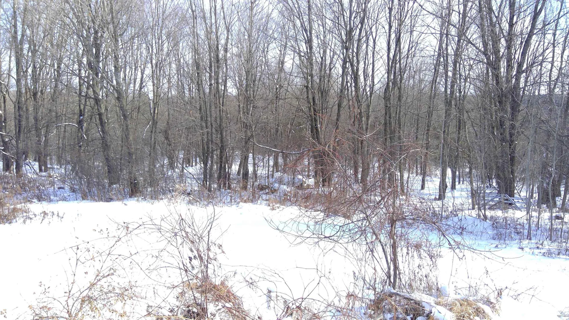 525 Swamp Road Fairfield VT 05455