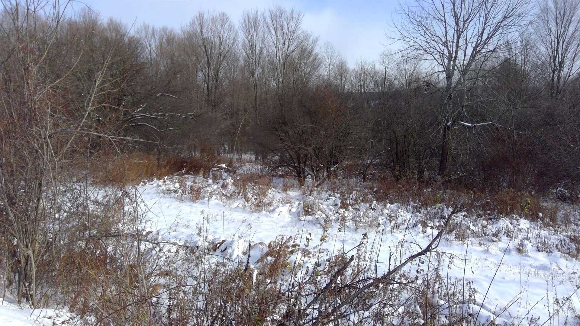 525 Swamp Road Fairfield VT 05455