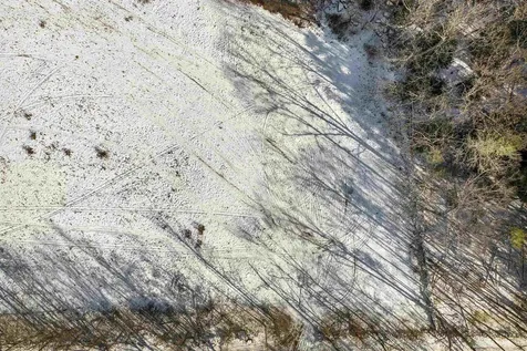 70 Bishop Road Belmont NH 03220