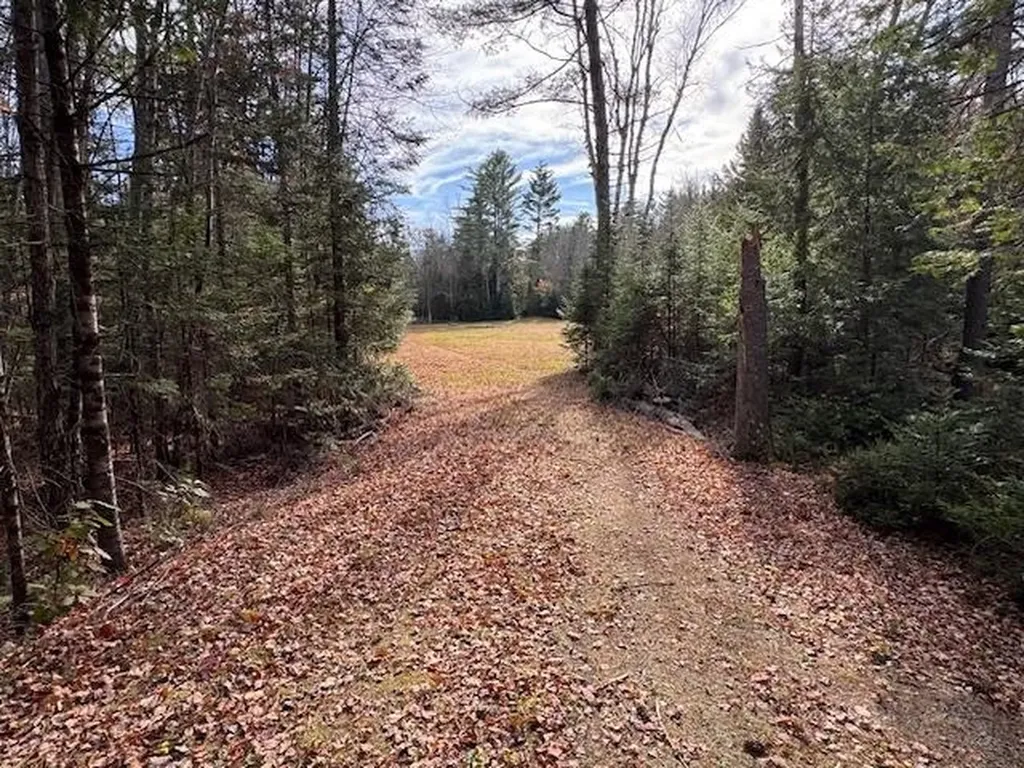 15 Switch Road Canaan NH 03741