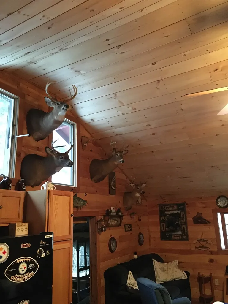 471 Seymour East Road Morgan VT 05853