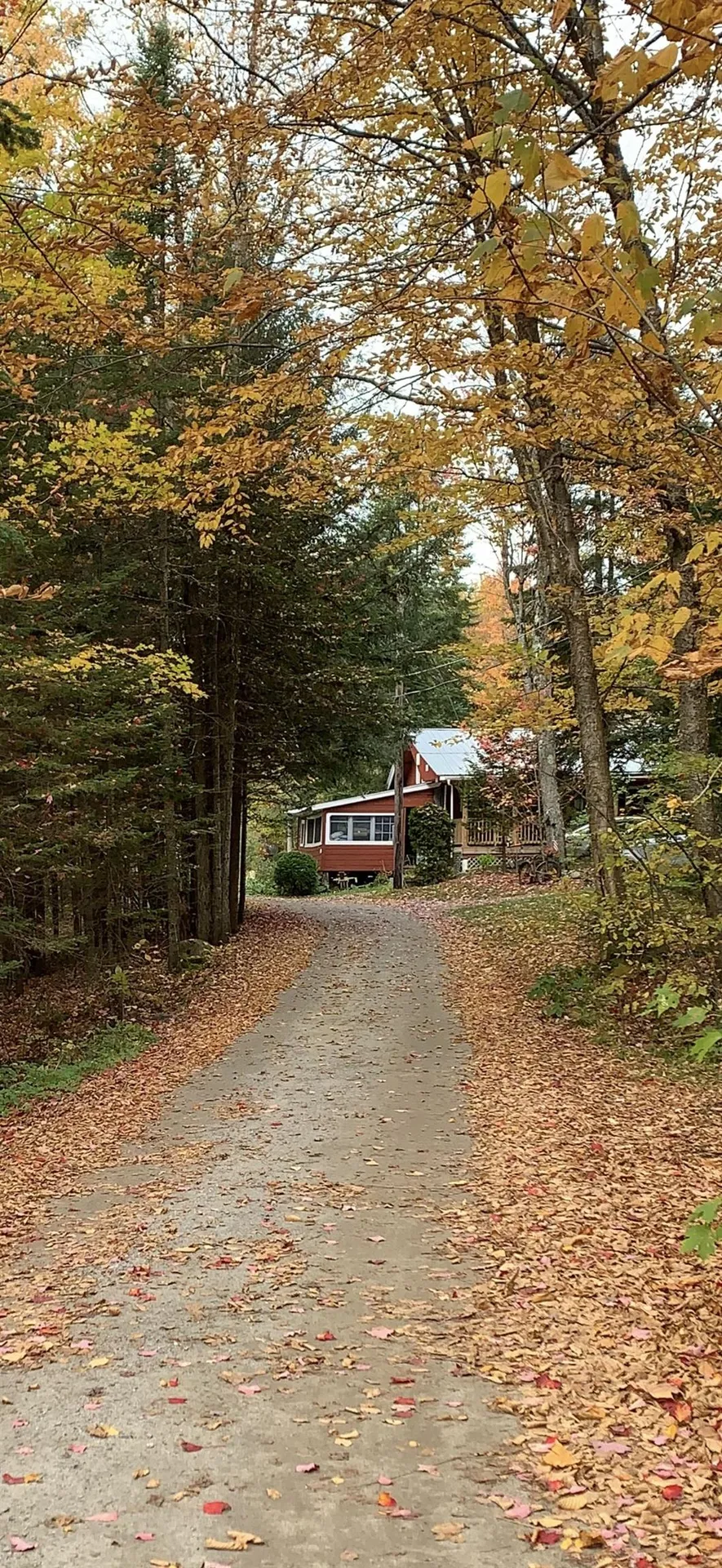 471 Seymour East Road Morgan VT 05853