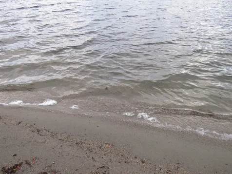 471 Seymour East Road Morgan VT 05853