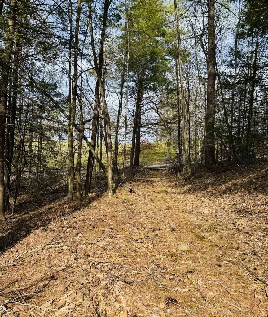 Lot F-84 Mcgettigan Road Wilton NH 03086