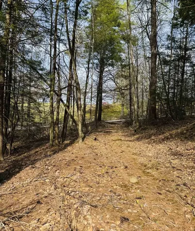 Lot F-84 Mcgettigan Road Wilton NH 03086