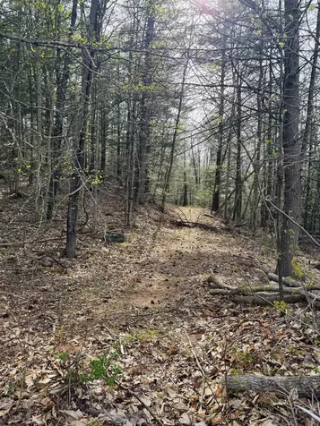 Lot F-84 Mcgettigan Road Wilton NH 03086