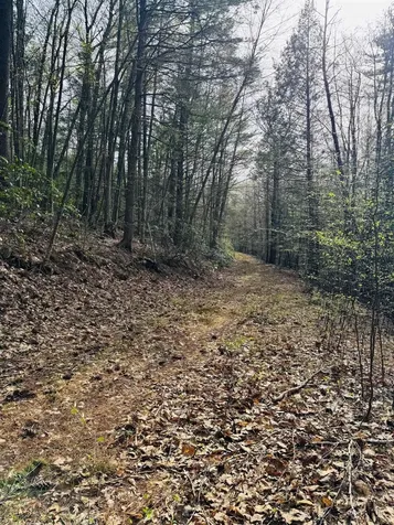Lot F-84 Mcgettigan Road Wilton NH 03086