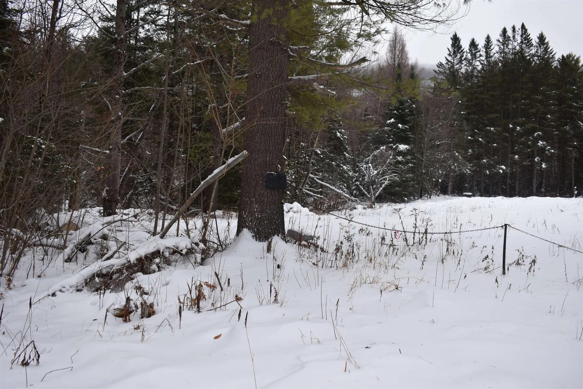 714 Jerusalem Road Canaan NH 03741