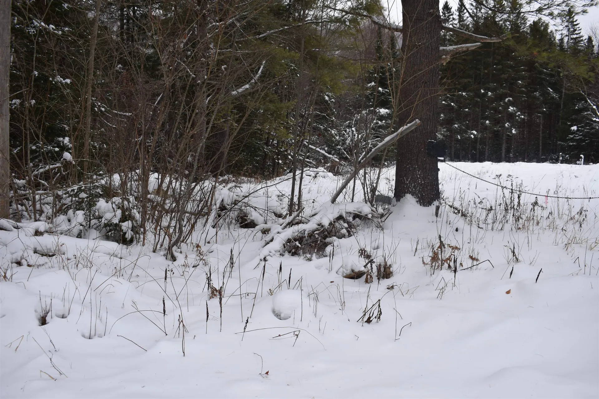 714 Jerusalem Road Canaan NH 03741