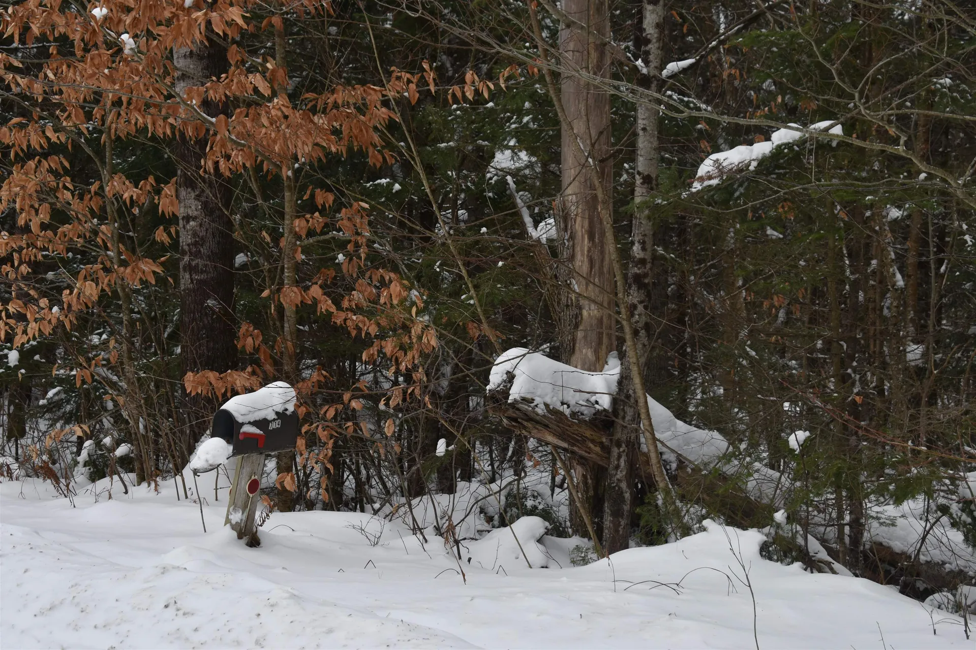 714 Jerusalem Road Canaan NH 03741