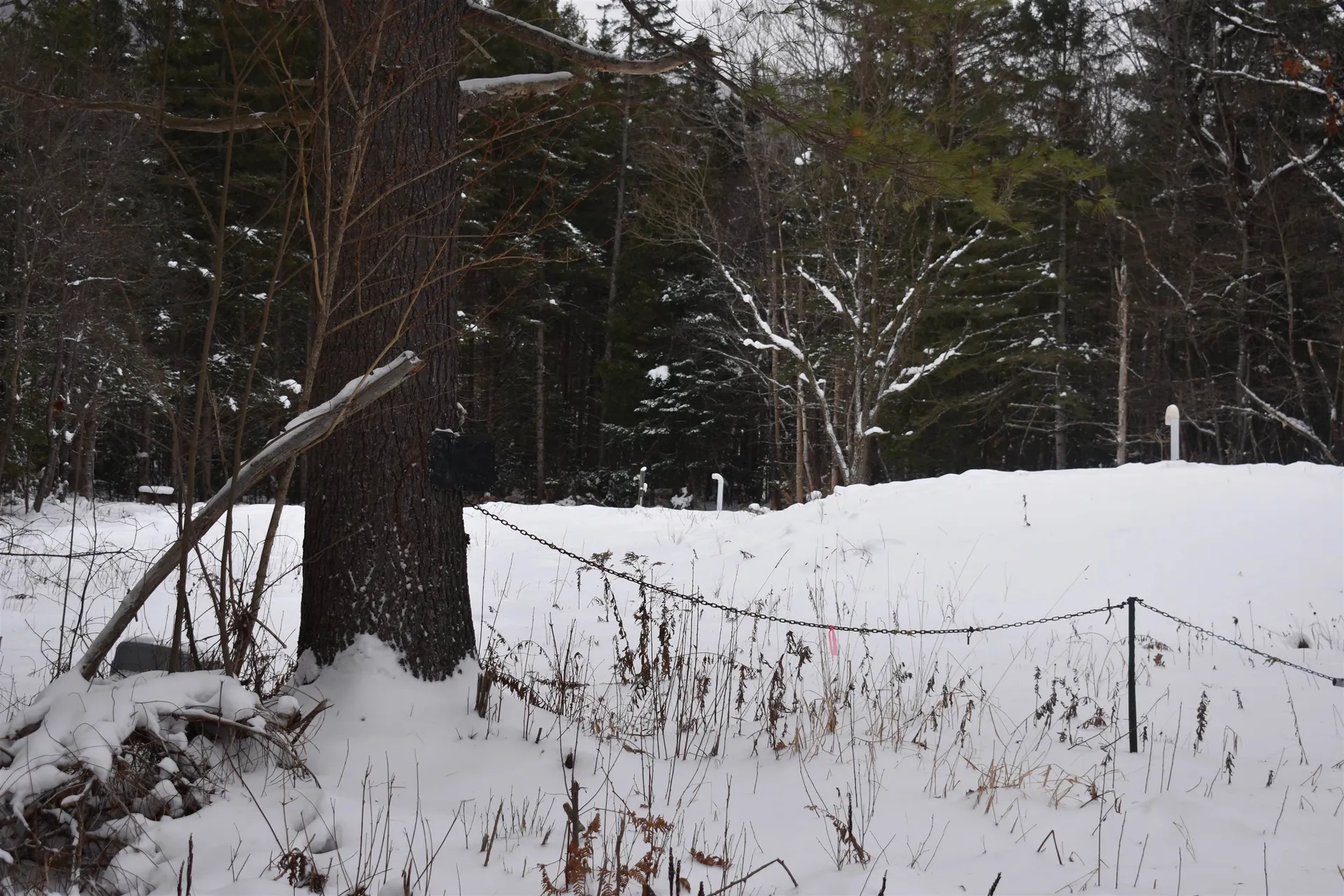 714 Jerusalem Road Canaan NH 03741