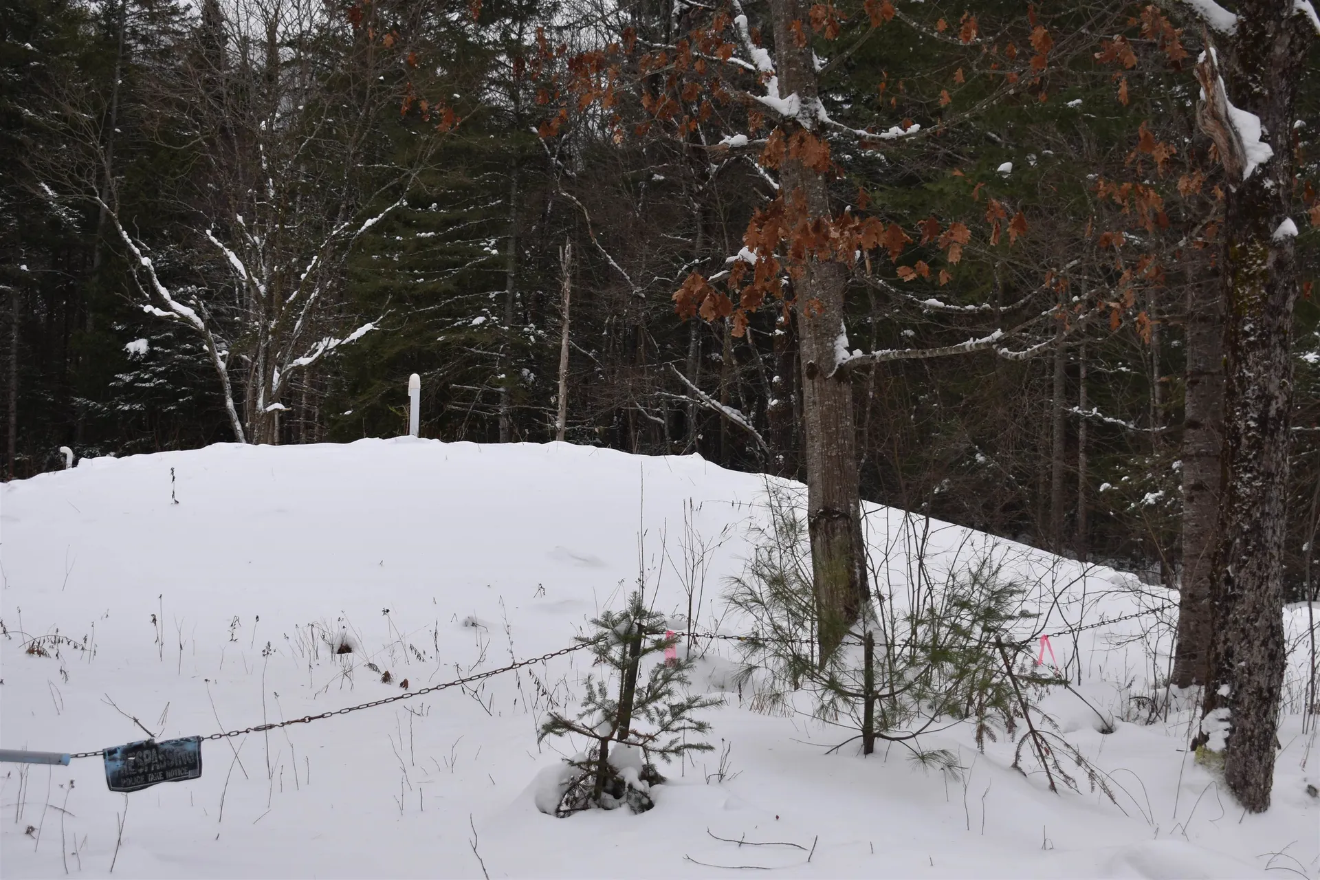 714 Jerusalem Road Canaan NH 03741