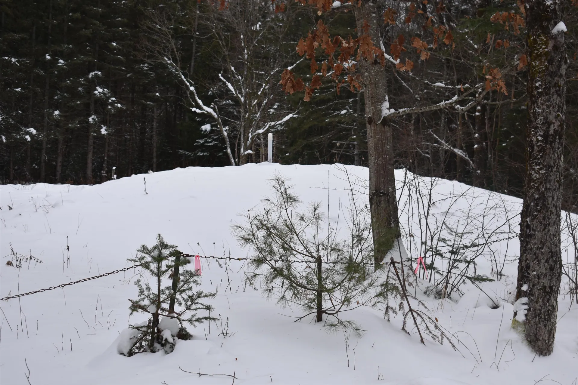 714 Jerusalem Road Canaan NH 03741