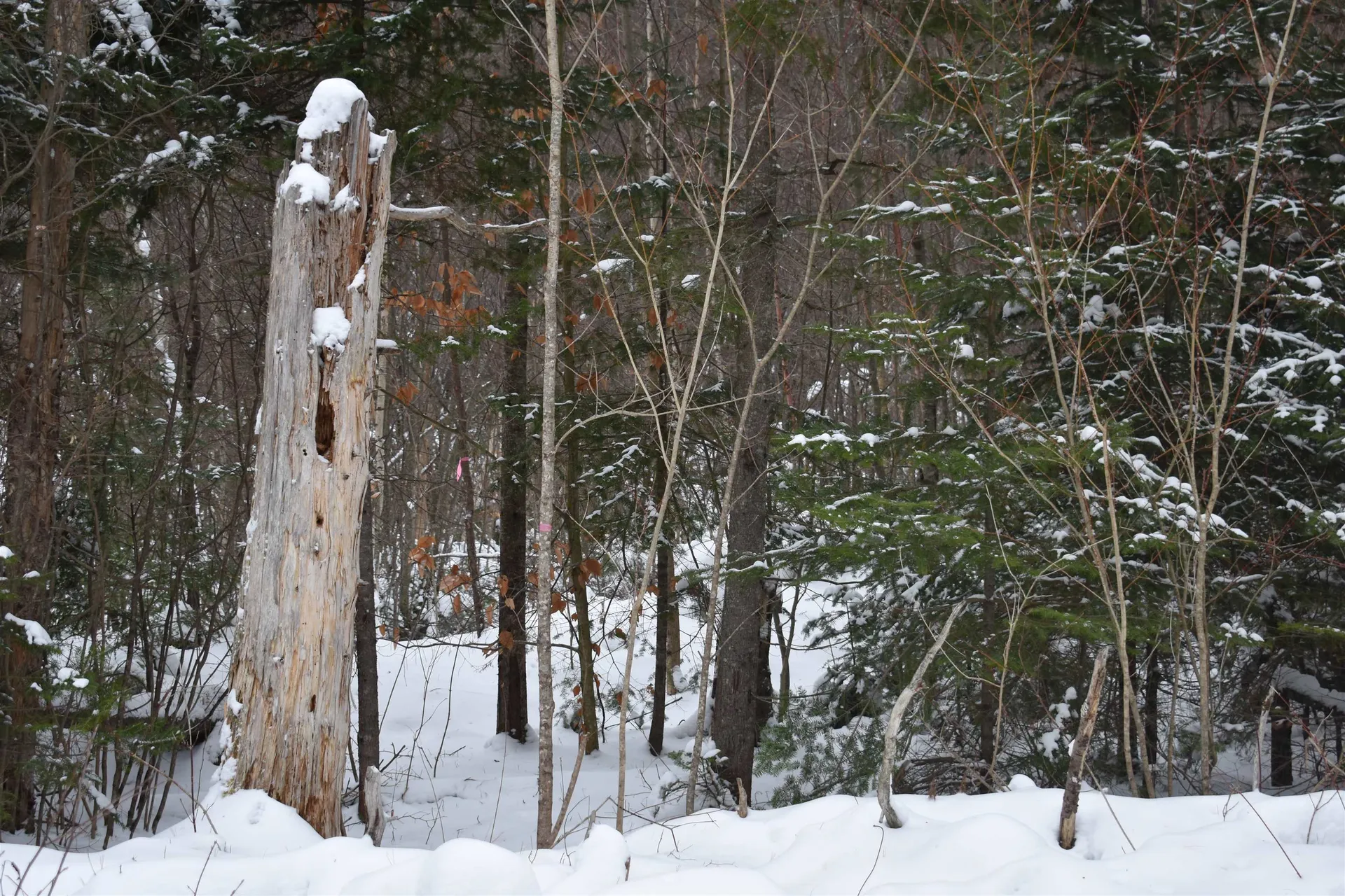 714 Jerusalem Road Canaan NH 03741