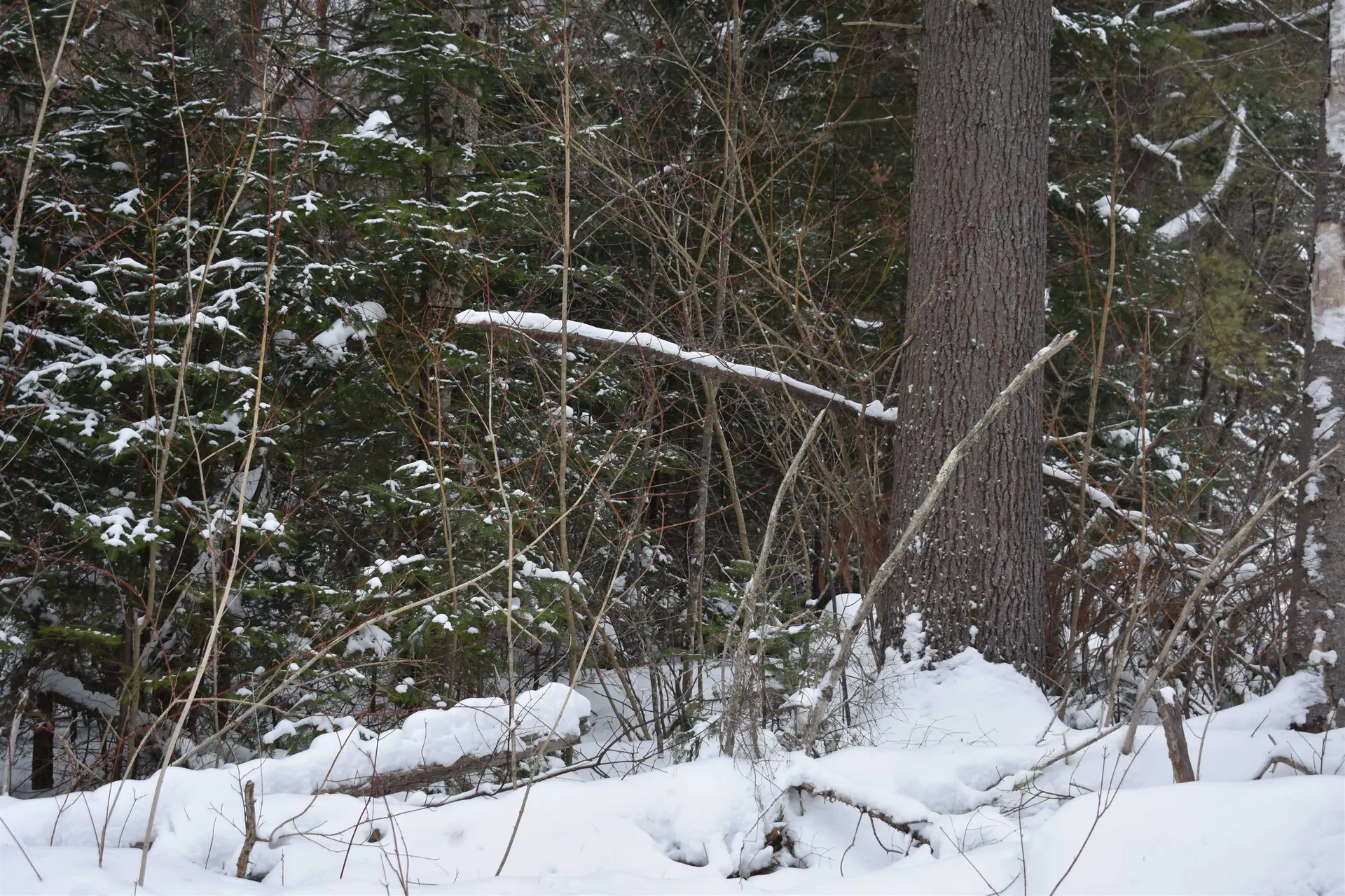 714 Jerusalem Road Canaan NH 03741