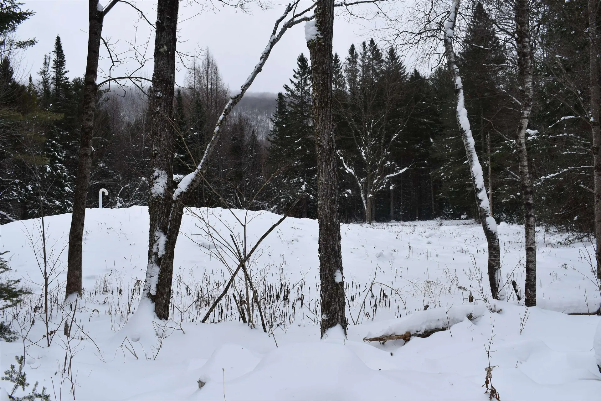 714 Jerusalem Road Canaan NH 03741