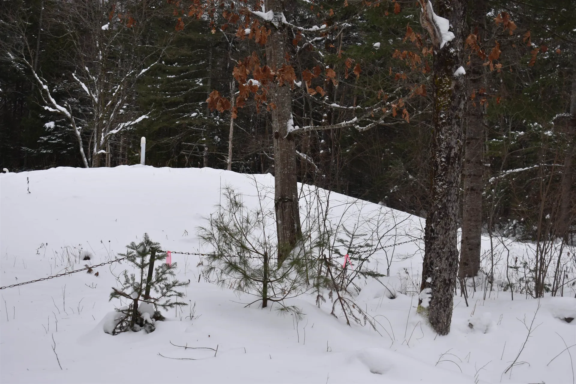 714 Jerusalem Road Canaan NH 03741