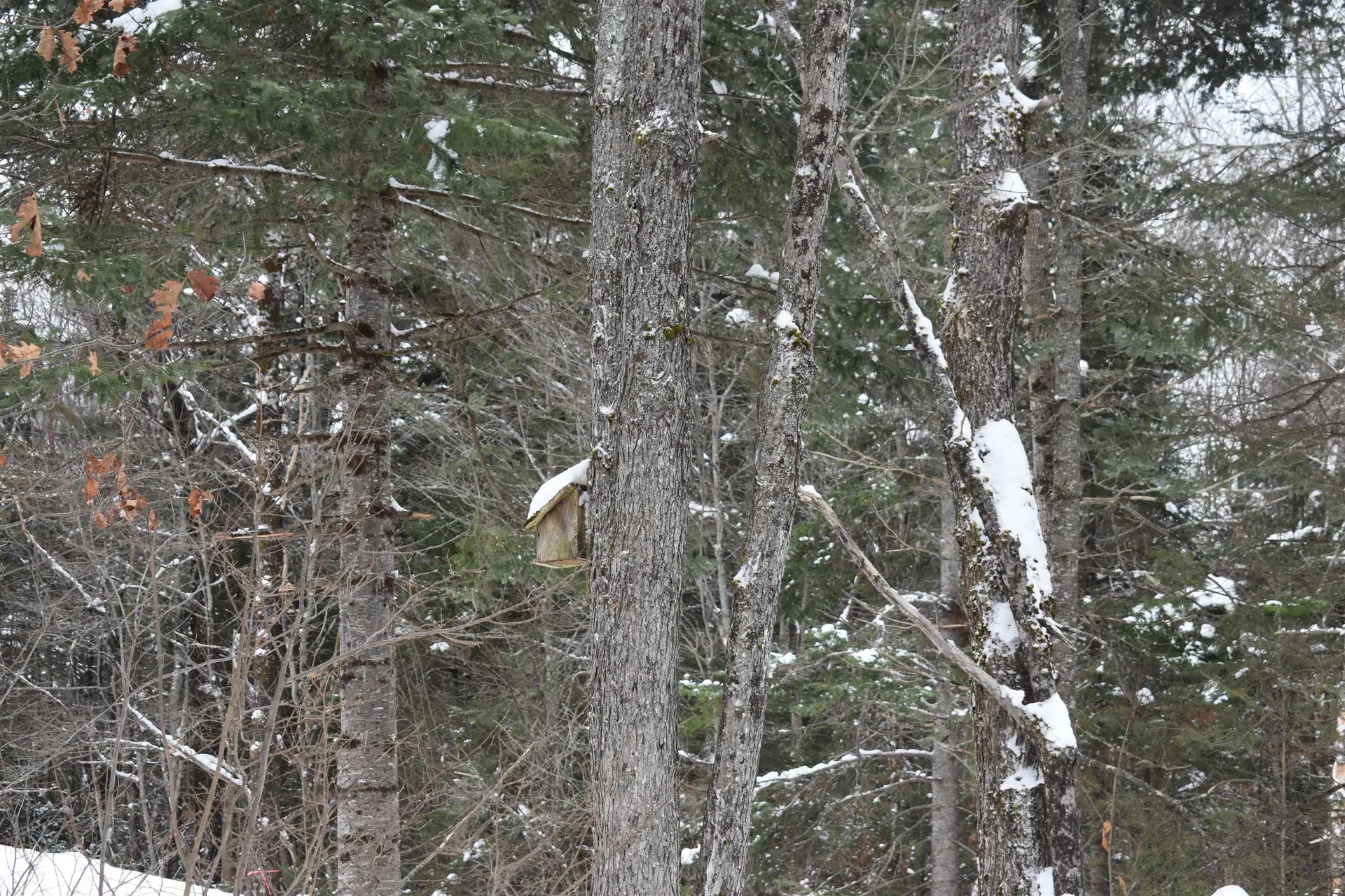 714 Jerusalem Road Canaan NH 03741