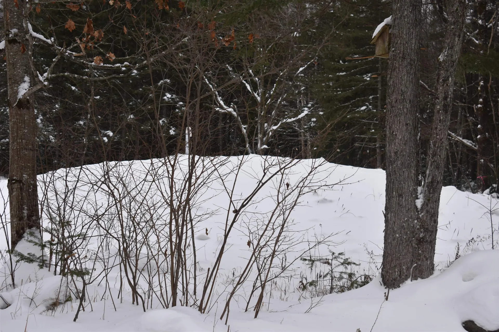 714 Jerusalem Road Canaan NH 03741