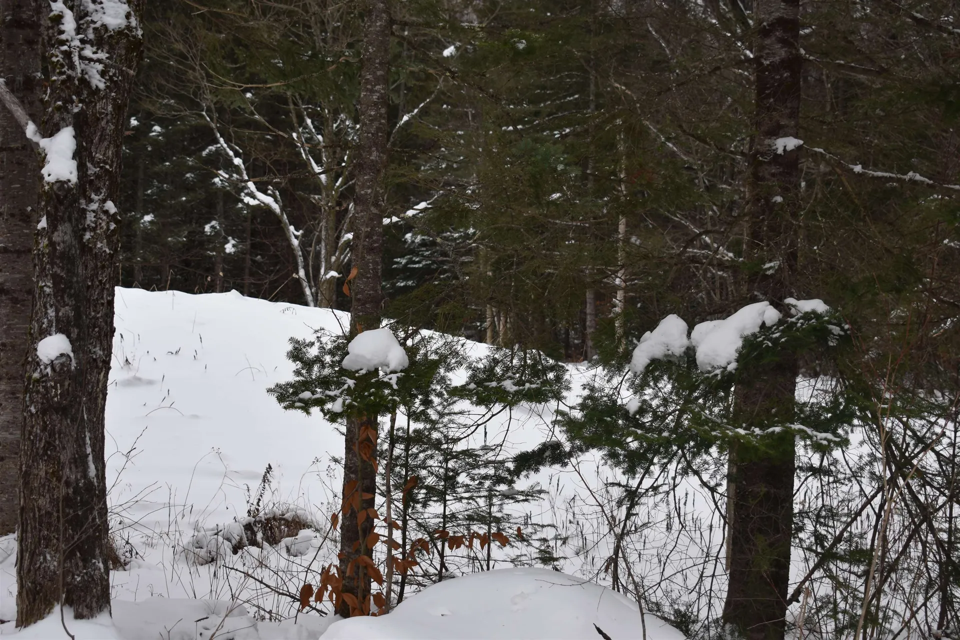 714 Jerusalem Road Canaan NH 03741