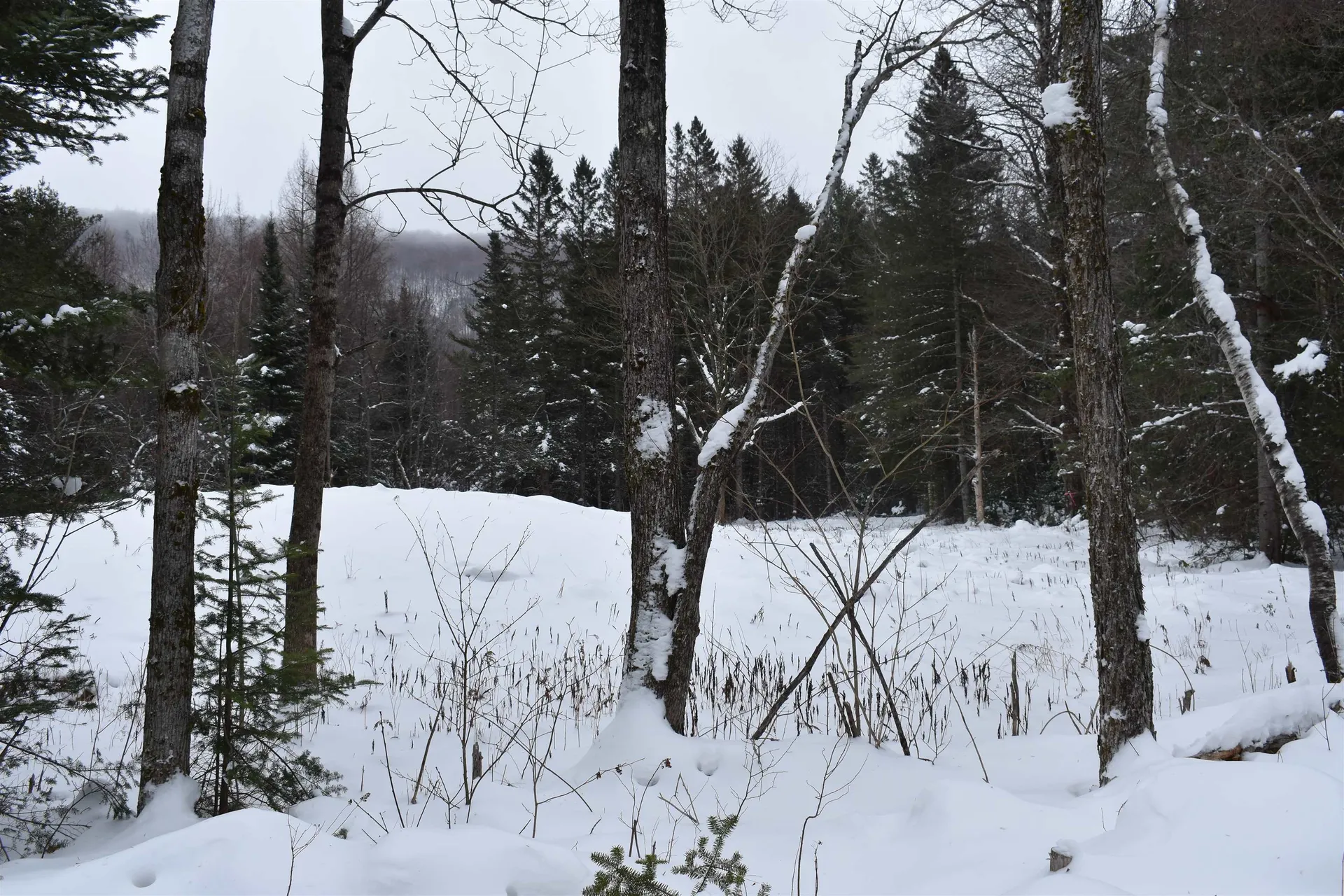 714 Jerusalem Road Canaan NH 03741