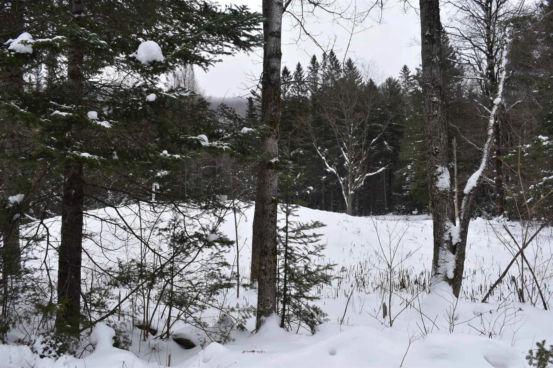 714 Jerusalem Road Canaan NH 03741