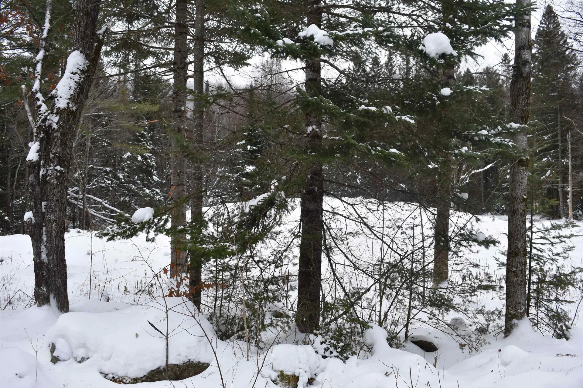 714 Jerusalem Road Canaan NH 03741