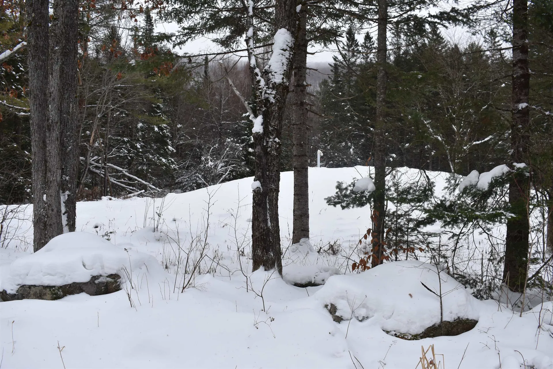 714 Jerusalem Road Canaan NH 03741