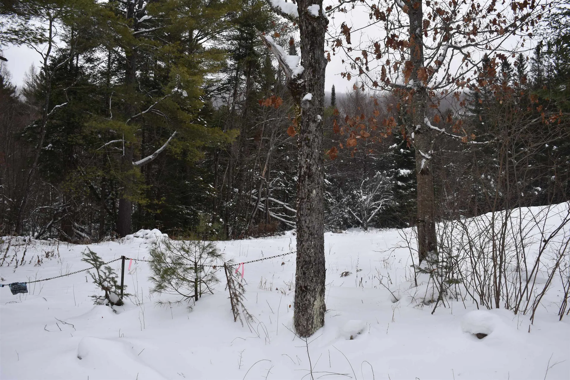 714 Jerusalem Road Canaan NH 03741