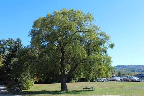 73 Weirs Road Gilford NH 03249