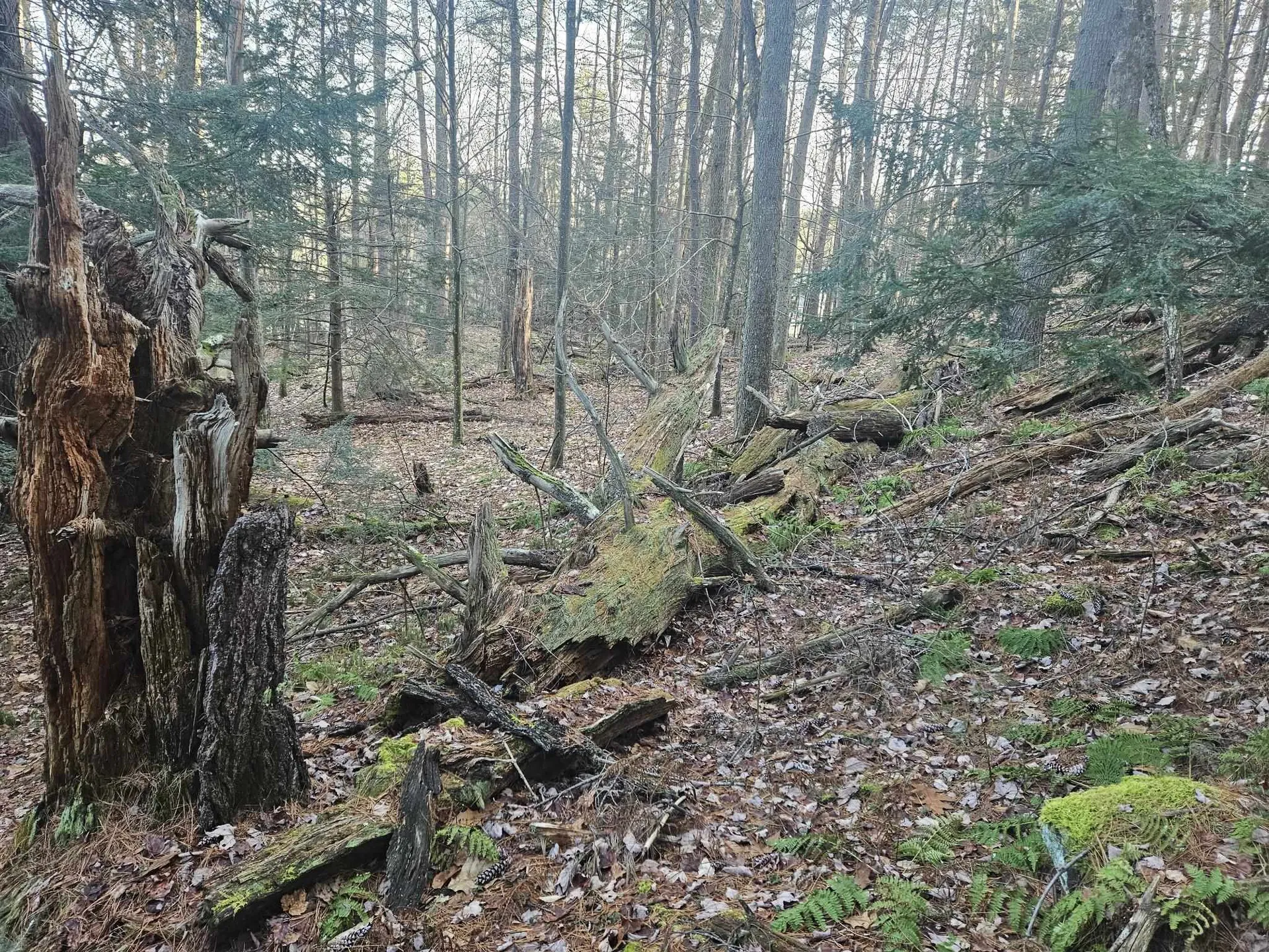 404 Bee Hole Road Loudon NH 03307