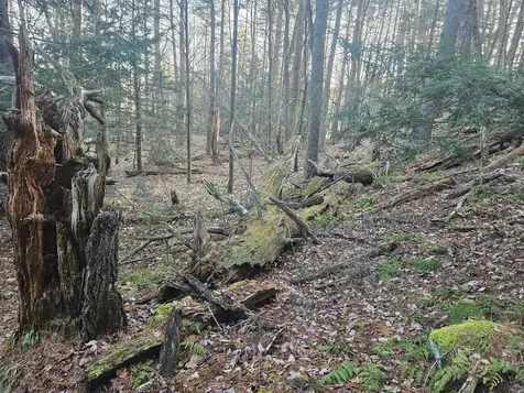 404 Bee Hole Road Loudon NH 03307