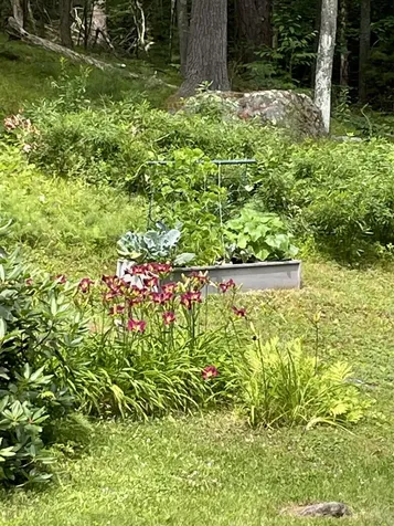 404 Bee Hole Road Loudon NH 03307